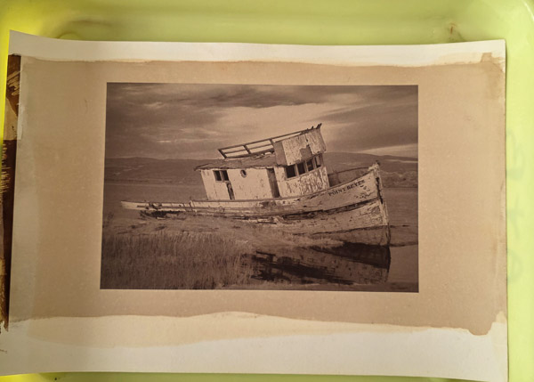 Platinum-Paladium prints